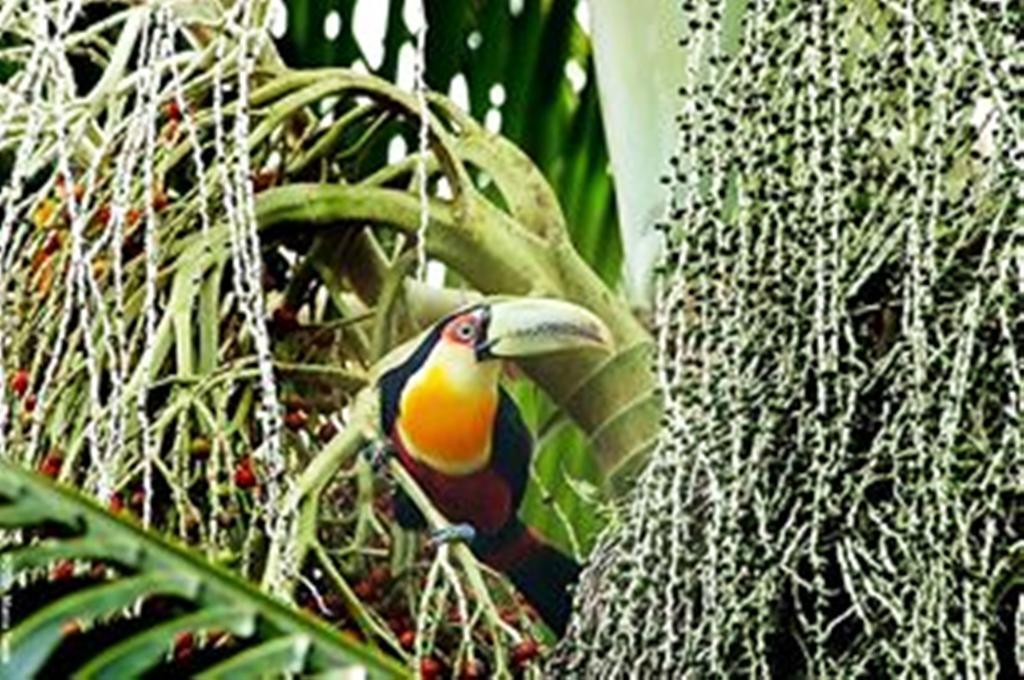 Pousada Montemar イリャベラ エクステリア 写真